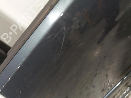 Used Left rear door VW POLO (9N_, 9A_) 1.9 TDI (101 hp) 22580087
