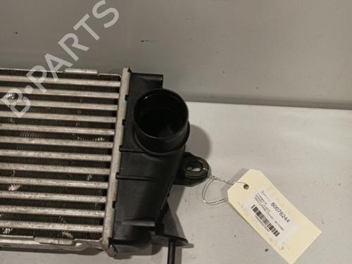 Used Intercooler RENAULT TRAFIC II Van (FL) 2.0 dCi 90 (FL0H) (90 hp) 22570091