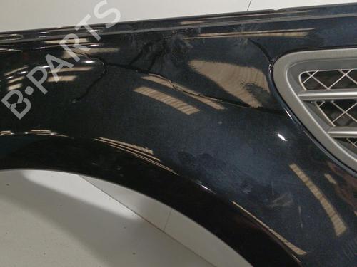 Left front fenders LAND ROVER RANGE ROVER SPORT I (L320) 3.6 D 4x4 | BP22572176C41 
