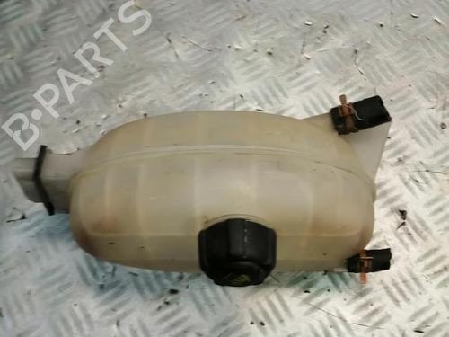 Used Expansion tank NISSAN PRIMASTAR Van (X83) 2.0 dCi 115 (114 hp) 22583887