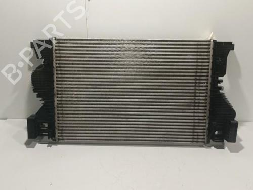 Used Intercooler MERCEDES-BENZ A-CLASS (W177) A 200 (177.087) (163 hp) 22585805