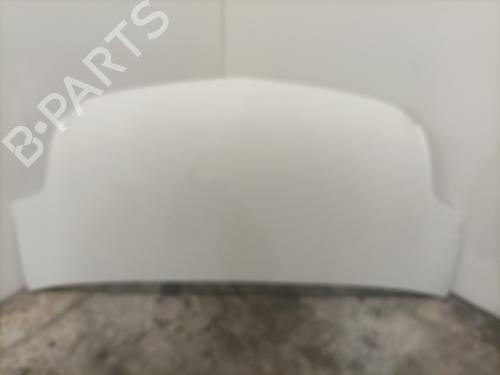 Capot RENAULT TRUCKS MASCOTT Platform/Chassis 120.65 (A00500007) (115 hp) 31655006