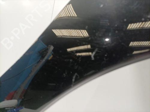 Right front fenders CITROËN C4 II (NC_) 1.6 HDi 90 | BP22574425C42 