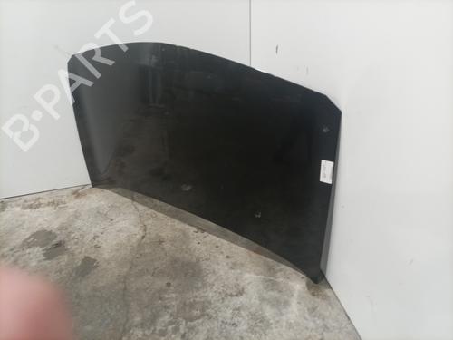 Hood RENAULT MEGANE II (BM0/1_, CM0/1_) 1.5 dCi (BM1E, CM1E) | BP24505182C1 