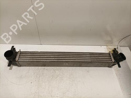 Used Intercooler SEAT IBIZA IV (6J5, 6P1) 1.4 TDI (80 hp) 30821046
