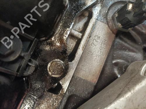 Motor RENAULT TWINGO II (CN0_) 1.2 16V (CN04, CN0B) | BP25587944M1 