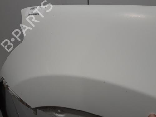 Left front fenders NISSAN QASHQAI / QASHQAI +2 I (J10, NJ10, JJ10E) 2.0 dCi | BP22574272C41 