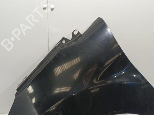 Left front fenders FORD FIESTA VI (CB1, CCN) 1.4 TDCi | BP22579826C41 