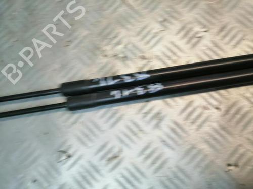 Tailgate lift support NISSAN QASHQAI / QASHQAI +2 I (J10, NJ10, JJ10E) 1.5 dCi | BP22578271C138 