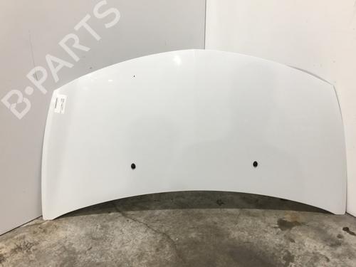 Used Hood RENAULT CLIO III (BR0/1, CR0/1) 1.5 dCi (C/BR0G, C/BR1G) (68 hp) 25158323