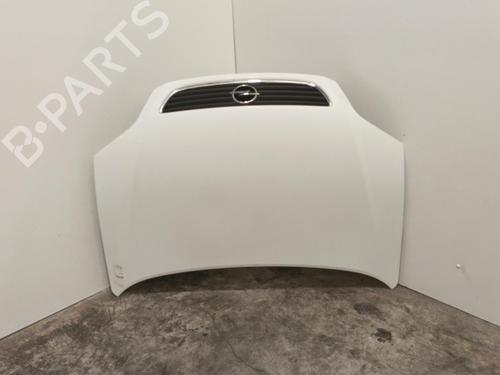 Hood OPEL ZAFIRA A MPV (T98) 2.0 DI 16V (F75) | BP22571853C1 
