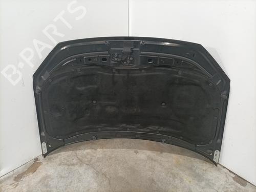 Used Hood Hood VW POLO IV (9N_, 9A_) 1.4 TDI (70 hp) 36413727 36413727