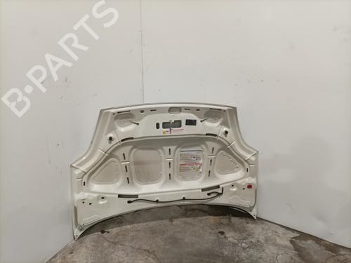 Hood FIAT PUNTO EVO (199_) 1.2 | BP28415732C1