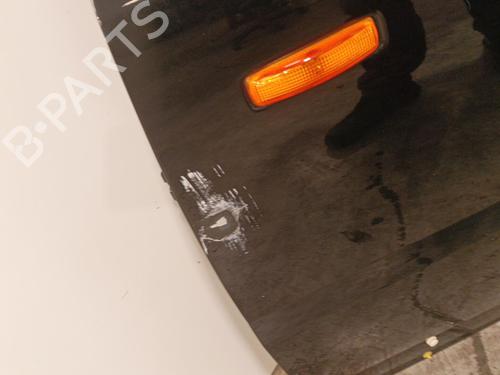 Left front door LAND ROVER RANGE ROVER SPORT I (L320) 2.7 D 4x4 | BP22570258C2 