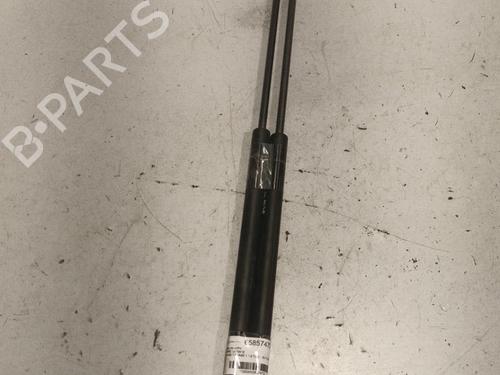 Tailgate lift support FORD FOCUS C-MAX (DM2) 1.8 TDCi | BP22586369C138 