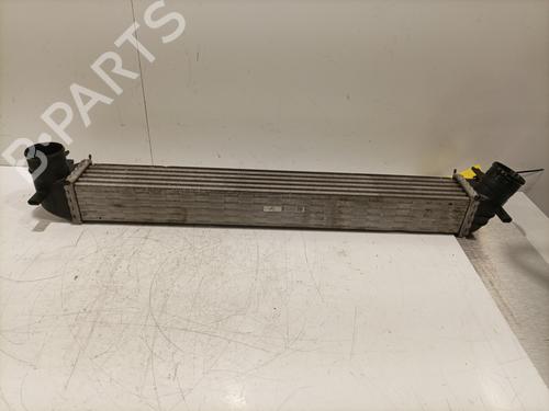 Used Intercooler Intercooler SEAT IBIZA IV (6J5, 6P1) 1.4 TDI (80 hp) 30821046 30821046