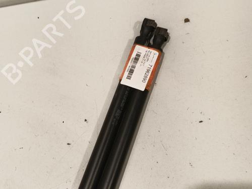Gassdemper Bakluke PEUGEOT 106 II (1A_, 1C_) 1.0 i (50 hp) 22572144