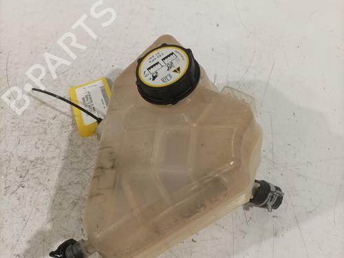 Expansion tank FORD FIESTA VI (CB1, CCN) 1.4 TDCi | BP29209537C120 