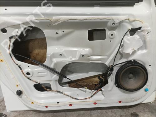 Left front door FIAT PUNTO EVO (199_) 1.2 | BP28415731C2
