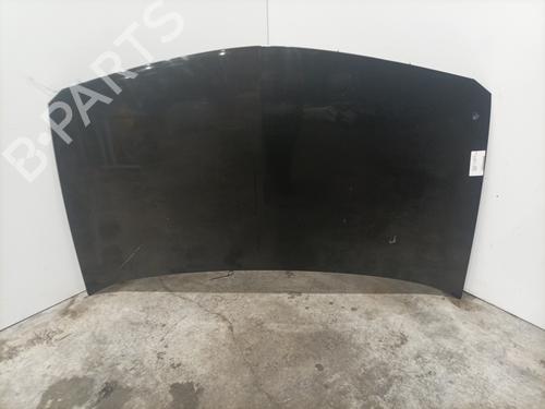 Used Hood RENAULT MEGANE II (BM0/1_, CM0/1_) 1.5 dCi (BM1E, CM1E) (106 hp) 24505182