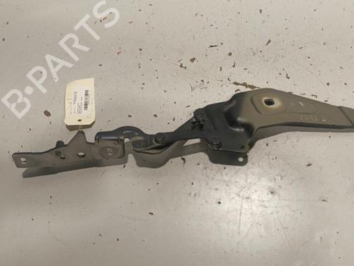 Hinge/Door check strap BMW X6 (E71, E72) xDrive 35 d 720862801