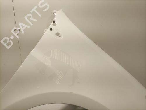 Right front fenders RENAULT CLIO III (BR0/1, CR0/1) 1.5 dCi (C/BR0G, C/BR1G) | BP22569209C42 