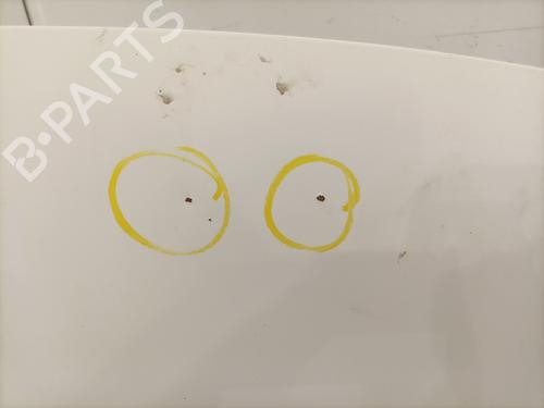 Capot Capot CITROËN C1 (PM_, PN_) 1.0 (68 hp) 34258251 34258251