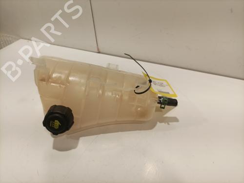 Expansion tank RENAULT KANGOO Express (FW0/1_) 1.5 dCi 90 (FW0G, FW05, FW08, FW11) | BP26909034C120 