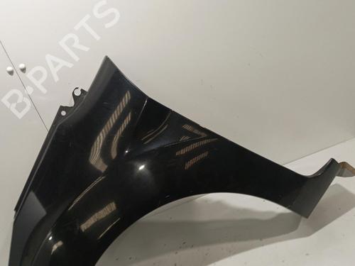 Left front fenders FORD FIESTA VI (CB1, CCN) 1.4 TDCi | BP22579826C41 