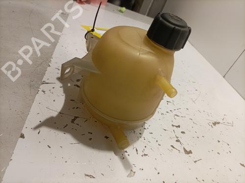 Expansion tank RENAULT MEGANE I Coach (DA0/1_) 1.9 dCi (DA05, DA1F) | BP22573225C120