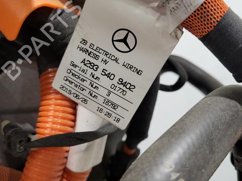 Engine MERCEDES-BENZ EQC (N293) EQC 400 4-matic (293.890) | BP29848124M1