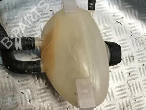 Expansion tank RENAULT TWINGO III (BCM_, BCA_) 1.0 SCe 70 | BP22590253C120 