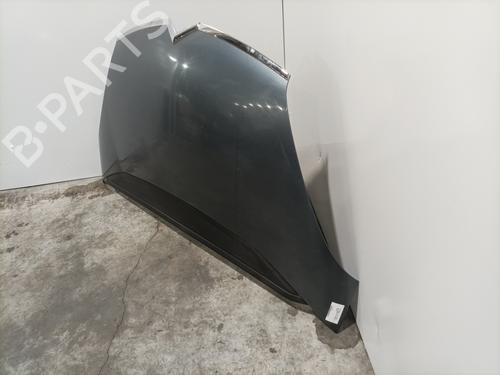 Hood CITROËN C4 Grand Picasso I (UA_) 1.6 HDi | BP22573169C1