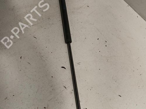 Used Hood lift support SEAT TOLEDO II (1M2) 1.8 20V (125 hp) 22588709