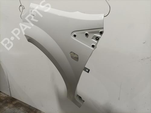 Left front fenders RENAULT TWINGO II (CN0_) 1.5 dCi 75 | BP29822324C41