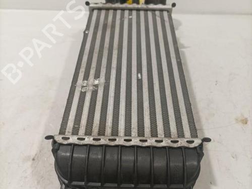 Used Intercooler Intercooler PEUGEOT RCZ 1.6 16V (156 hp) 22569768 22569768