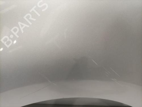 Left front fenders RENAULT SCÉNIC III (JZ0/1_) 1.5 dCi | BP22579665C41 