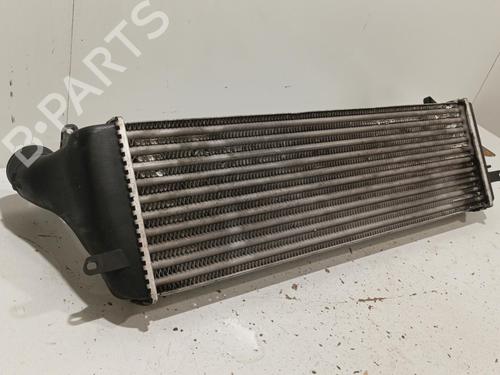 Used Intercooler Intercooler RENAULT SAFRANE II (B54_) 2.2 dT (B54G) (113 hp) 22576240 22576240