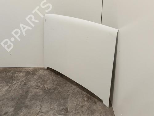 Capot RENAULT RAPID Box Body/MPV (F40_, G40_) 1.9 D (F40R) (54 hp) 22576503