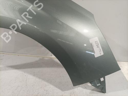Right front fenders CITROËN C4 II (NC_) 1.6 HDi 115 | BP29185005C42 