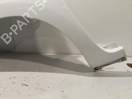 Forskærm venstre RENAULT KANGOO Express (FW0/1_) 1.5 dCi 85 (FW0K, FW0L, FW0B) (86 hp) 22581652