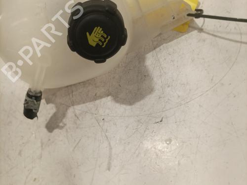 Expansion tank RENAULT TWINGO III (BCM_, BCA_) Z.E: (BCA1) | BP27606208C120 