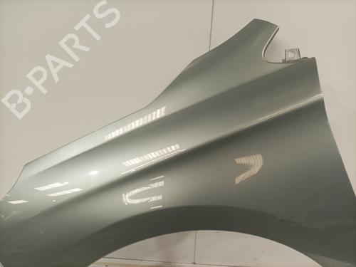 Left front fenders CITROËN C4 II (NC_) 1.6 HDi 115 | BP29185004C41 