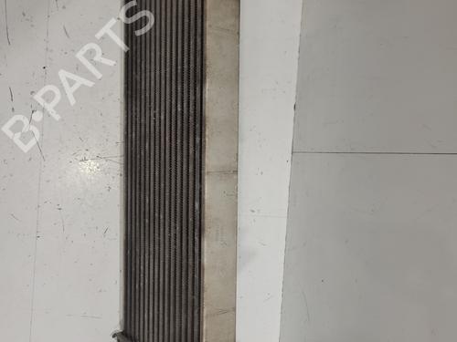 Intercooler MERCEDES-BENZ M-CLASS (W164) | BP36413993M30 - Image 2