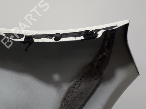 Right front fenders NISSAN QASHQAI / QASHQAI +2 I (J10, NJ10, JJ10E) 2.0 dCi | BP22574280C42 