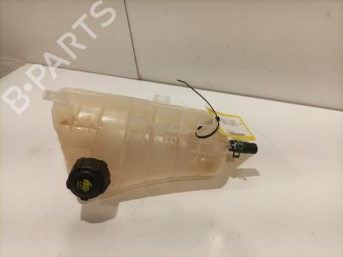 Expansion tank RENAULT KANGOO Express (FW0/1_) 1.5 dCi 90 (FW0G, FW05, FW08, FW11) | BP26909034C120 
