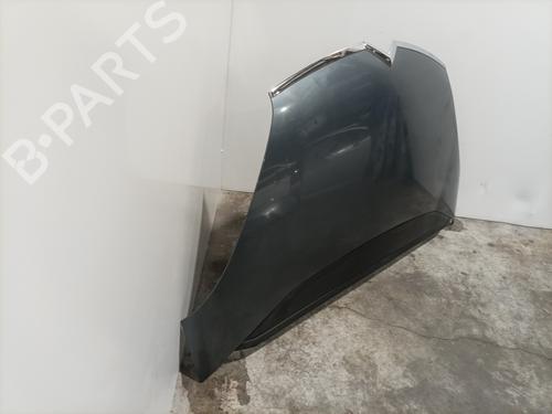 Hood CITROËN C4 Grand Picasso I (UA_) 1.6 HDi | BP22573169C1