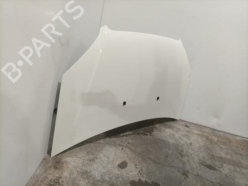 Capot Capot FIAT DOBLO Box Body/MPV (223_) 1.3 D Multijet (75 hp) 24114221 24114221
