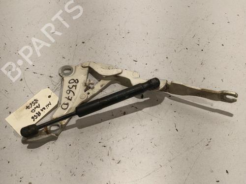 Hinge/Door check strap MINI MINI (R56) One | BP26297071C146 