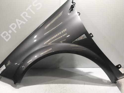Used Left front fenders RENAULT MEGANE II (BM0/1_, CM0/1_) 1.5 dCi (BM1E, CM1E) (106 hp) 30000028